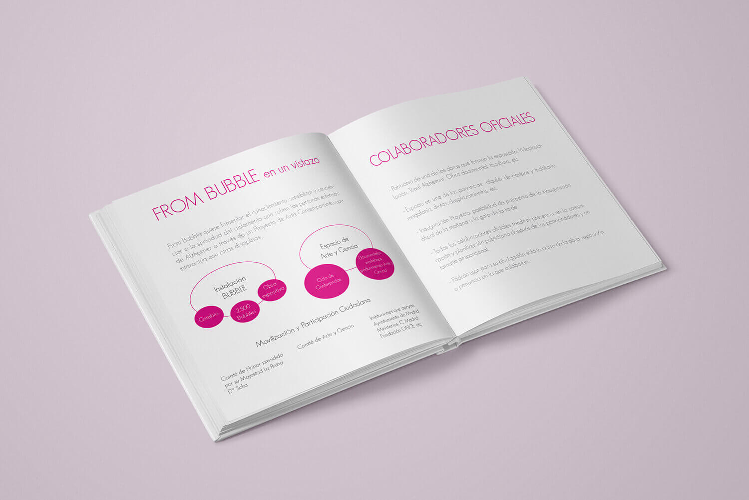 Libro resumen evento From Bubble interior